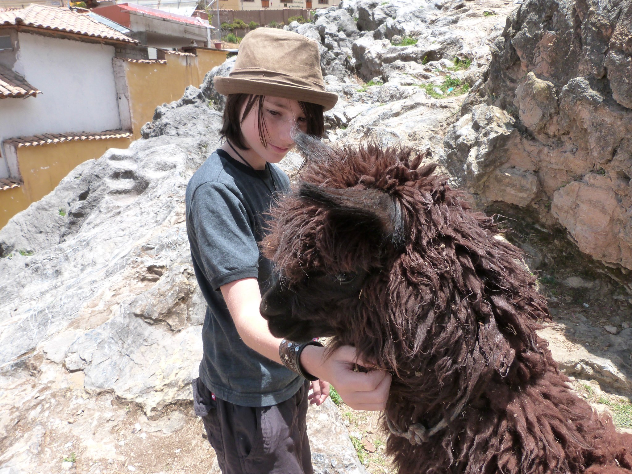 Miro with an Alpaca