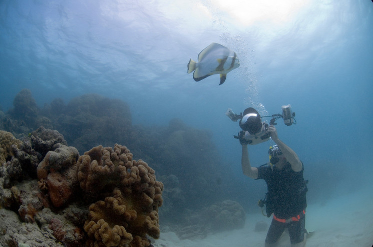 Underwater photography in the Great Barrier Reef