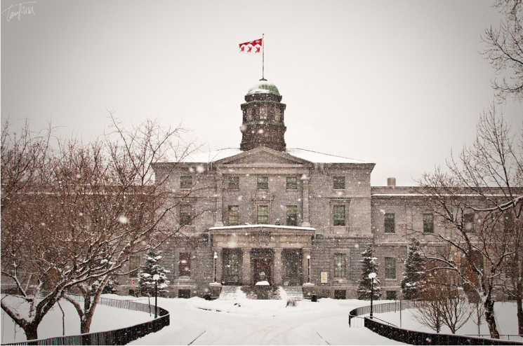 McGill University in Winter 