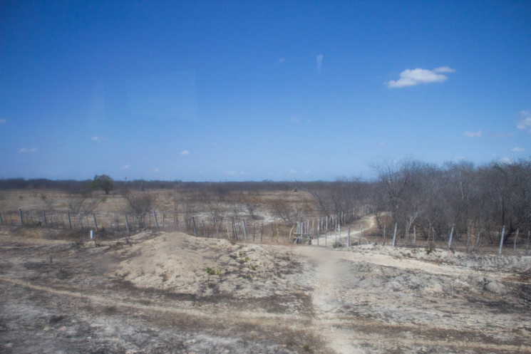 view from the window in brazil