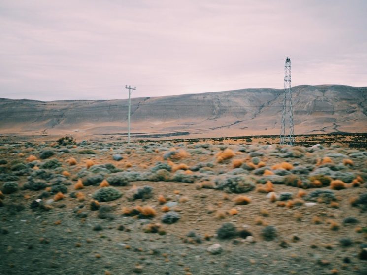Field on the way to Torres del Paines Nation Park