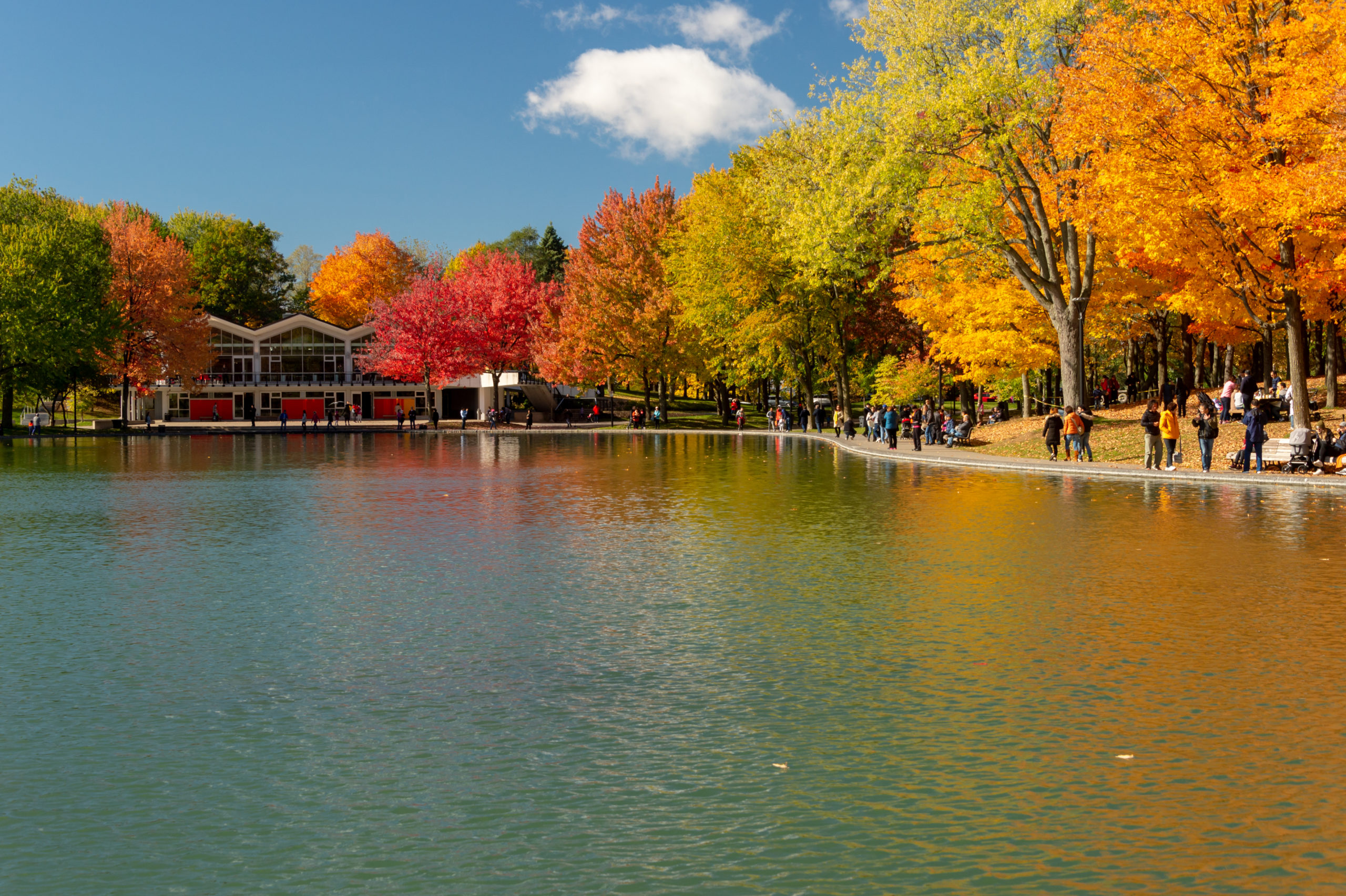 Regardez Les Couleurs D Automne Prendre Vie Au Quebec Busbud Blog