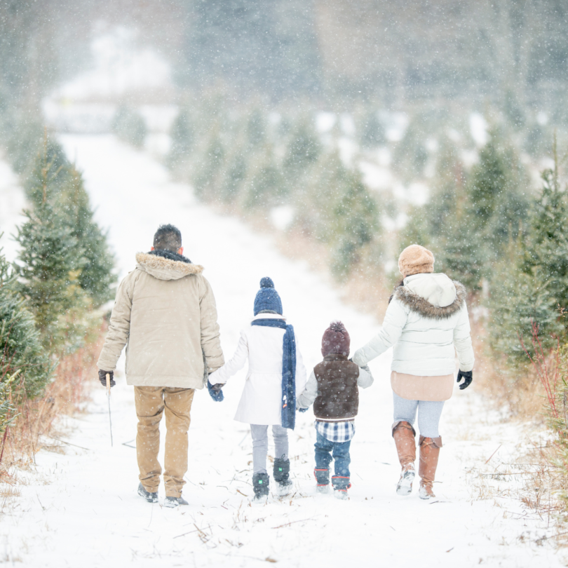 family in the winter